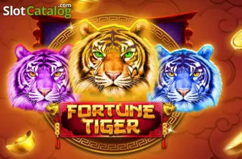 Live dealer blackjack table interactive gameplay